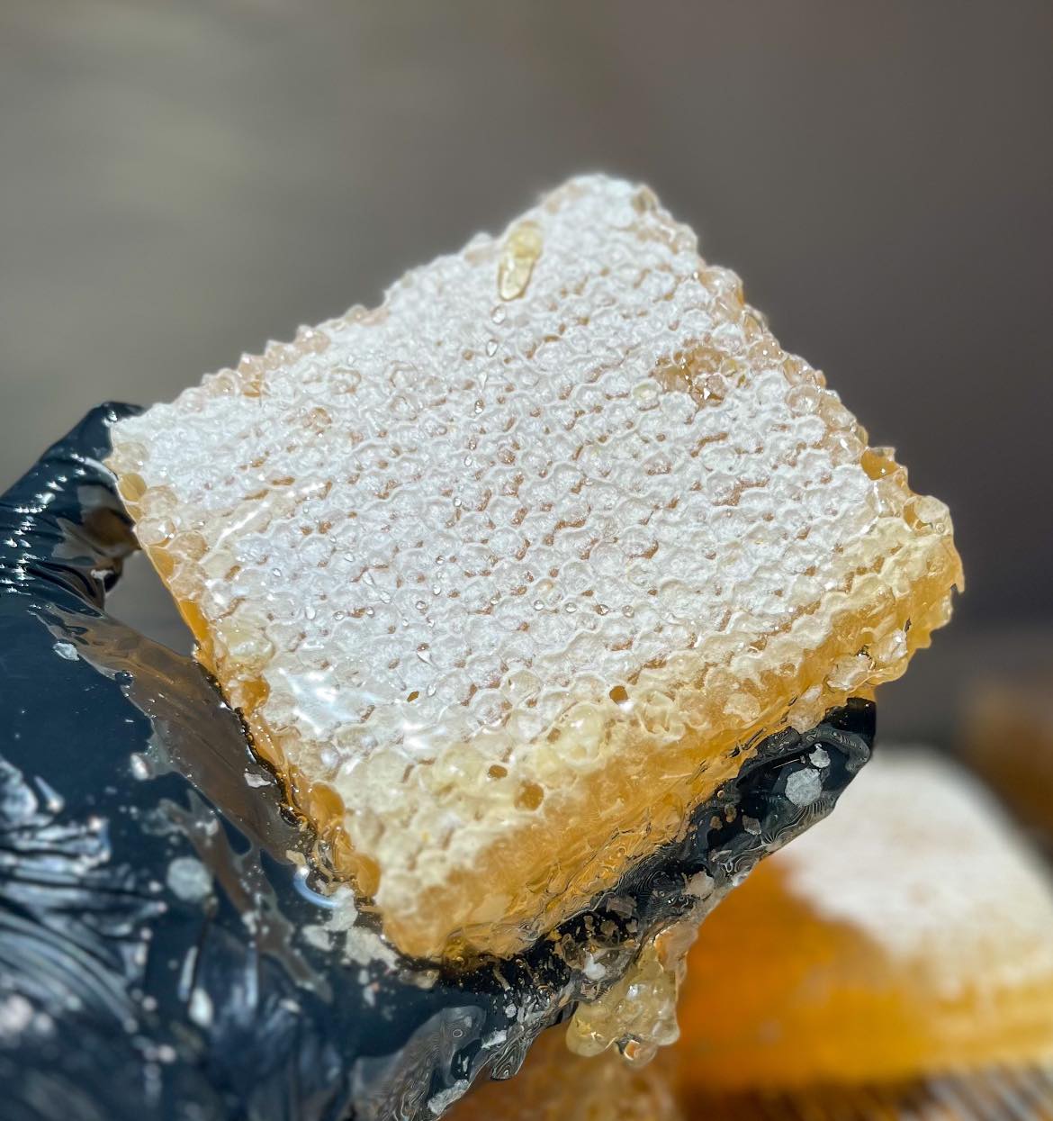 Raw Honey – Z's Bees Honey and Beeswax Products